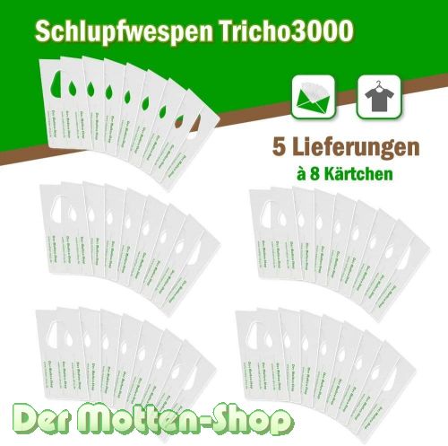 Schlupfwespen gegen Kleidermotten 8 Karten x 5 Lieferungen