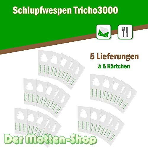 Schlupfwespen gegen Kleidermotten 4 Karten x 5 Lieferungen