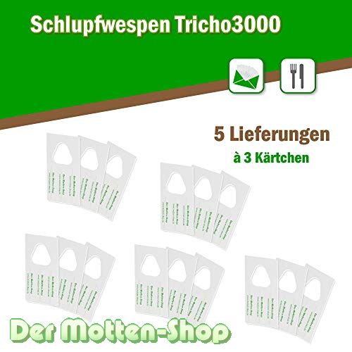 Schlupfwespen gegen Kleidermotten 3 Karten x 5 Lieferungen