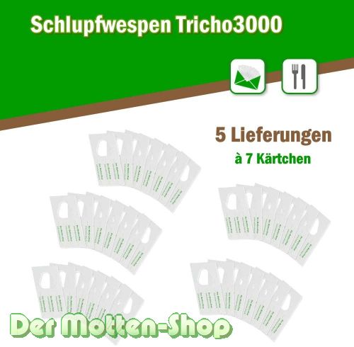 Schlupfwespen gegen Kleidermotten 7 Karten x 5 Lieferungen