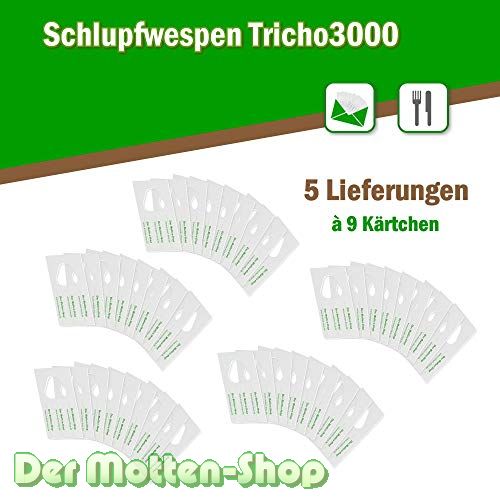 Schlupfwespen gegen Kleidermotten 9 Karten x 5 Lieferungen