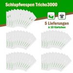 Schlupfwespen gegen Kleidermotten 10 Karten x 5 Lieferungen