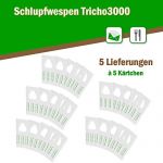 Schlupfwespen gegen Kleidermotten 4 Karten x 5 Lieferungen