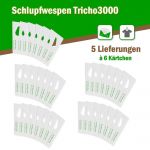 Schlupfwespen gegen Kleidermotten 6 Karten x 5 Lieferungen