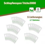 Schlupfwespen gegen Kleidermotten 7 Karten x 5 Lieferungen