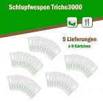 Schlupfwespen gegen Kleidermotten 9 Karten x 5 Lieferungen
